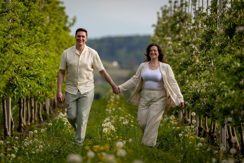 Das Paar läuft Hand in Hand durch die Obstplantage, Pusteblumen im Vordergrund – Kennenlern-Shooting in Tettnang am Bodensee, Obstplantage in Oberschwaben bei Ravensburg, Engagement-Shooting